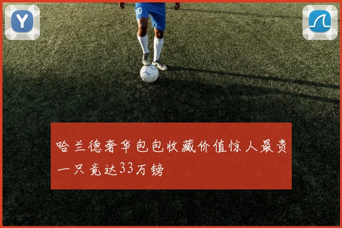 哈兰德奢华包包收藏价值惊人最贵一只竟达33万镑