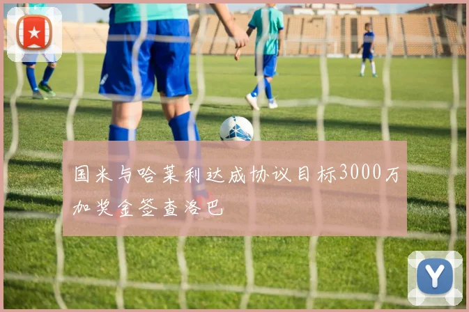 国米与哈莱利达成协议目标3000万加奖金签查洛巴