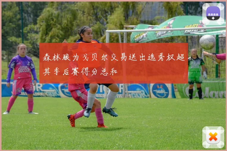 森林狼为戈贝尔交易送出选秀权超其季后赛得分总和